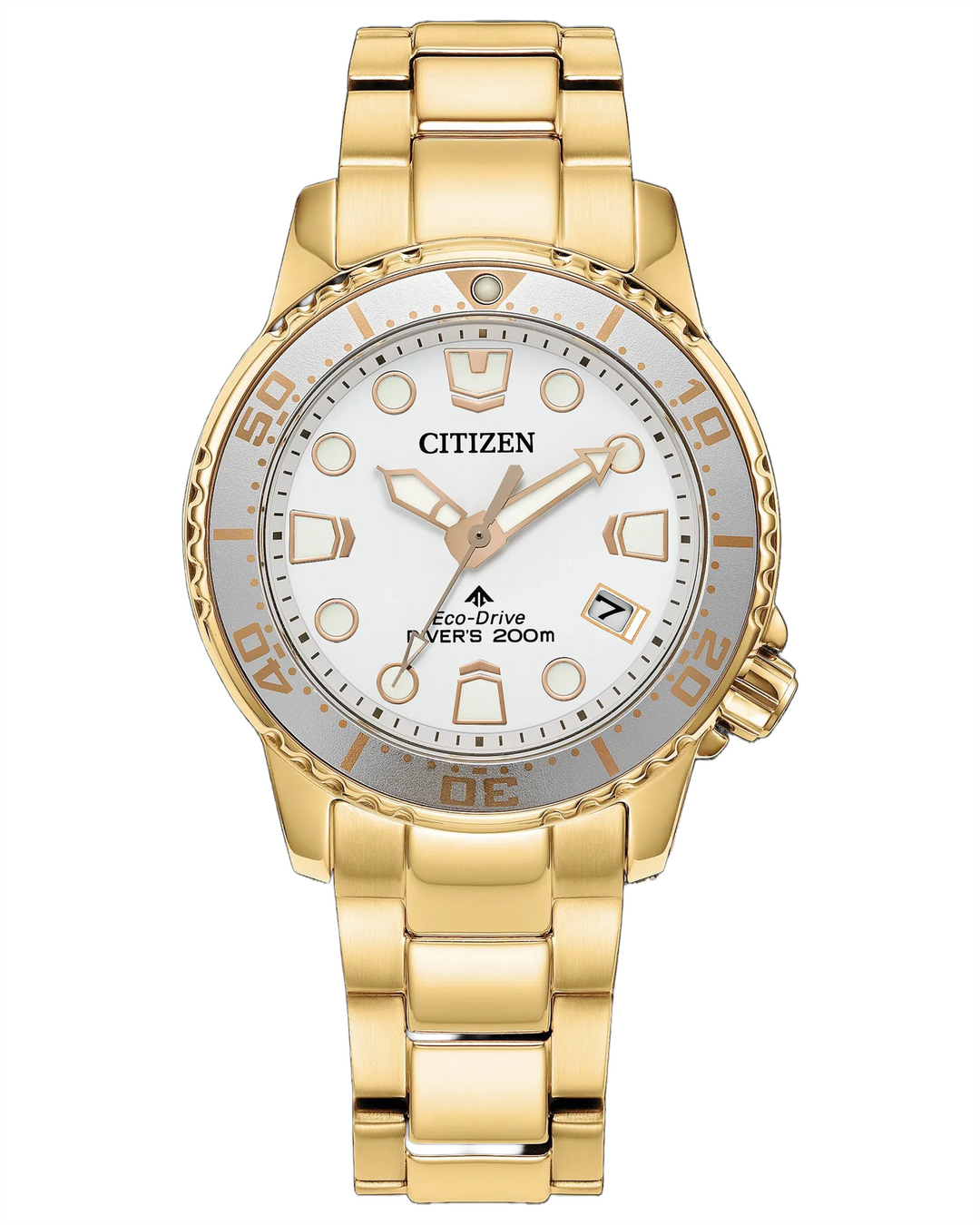 CITIZEN Promaster Dive 36.5mm