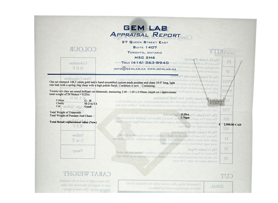 14KT White Gold 0.25ctw Diamond 18" Estate Necklace