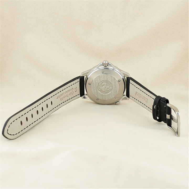 Omega Seamaster Professional 300M Automatic Diver Watch