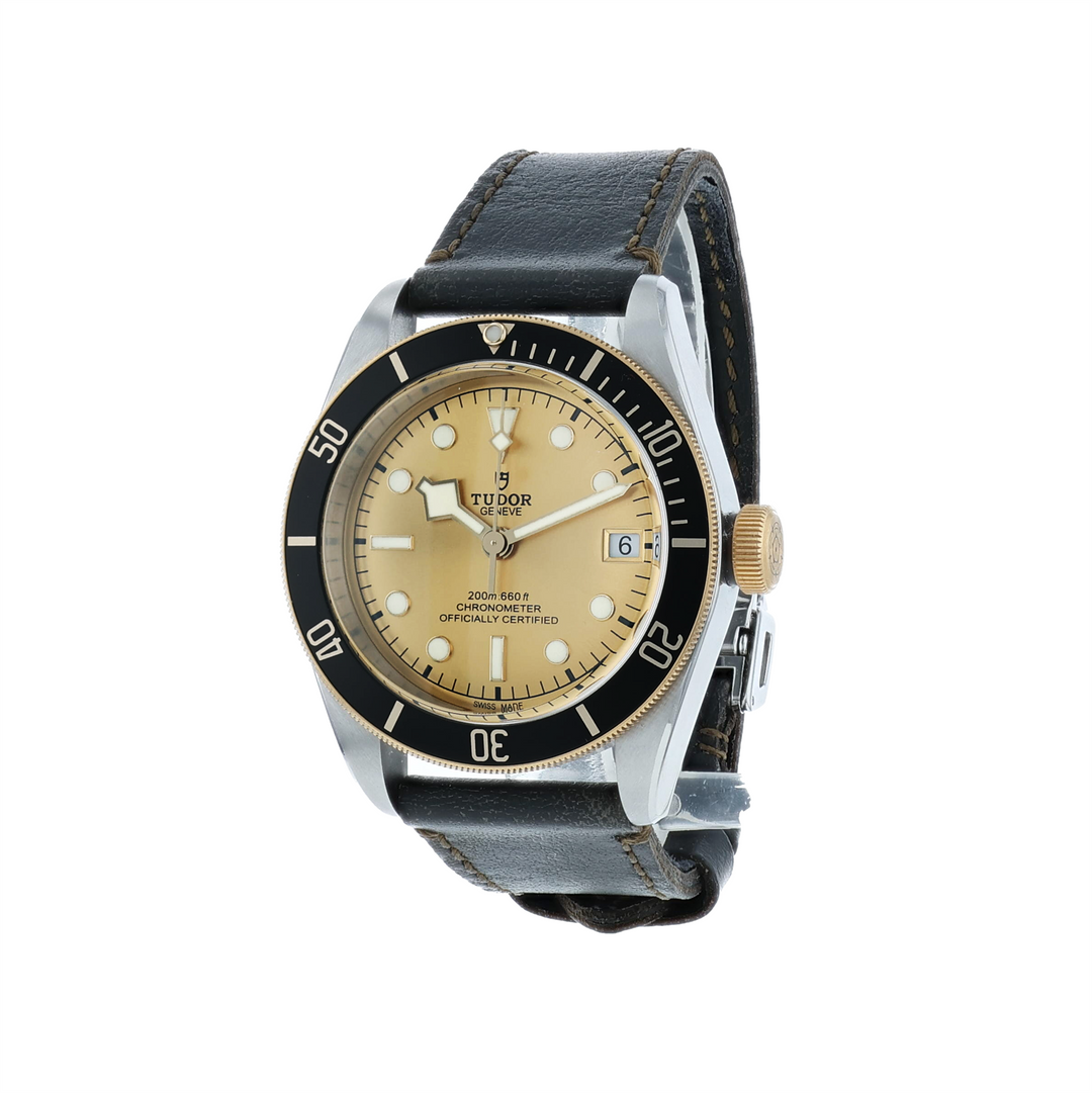Tudor Heritage Black Bay S&G 79733N 41mm 2022