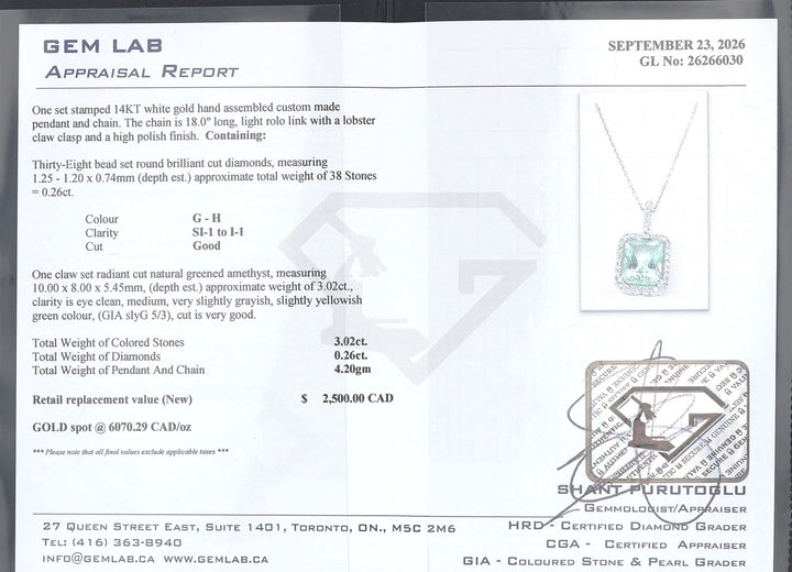14KY White Gold Greened Amethyst and 0.26ctw Diamond Pendant on a Rolo Chain 18"