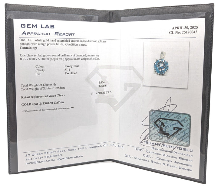 14KT White Gold 2.60ctw Lab Grown Blue Diamond 17" Necklace