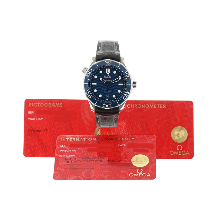Omega Seamaster Diver 300 210.32.42.20.03.001 42mm 2022